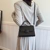 Premium small bag 2025 new women's bag winter popular messenger bag fashion portable small square bag