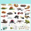 Realistic Animal Growth Cycle Storage Box Set With Mosquito Spider Ladybug Frog Worm Snail Models In Pink And Blue