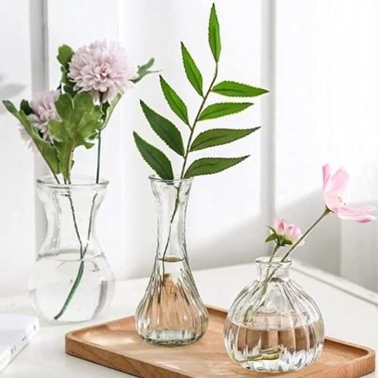 KINOKINO Vase Small Glass Flower Single Stem 3-Piece Set Stylish Scandinavian Transparent Mini Jute String Ikebana Hydroponics Interior