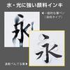 Pentel Brush Pen Quick Dry Pentel Brush Ultra Fine XFPD5F