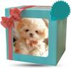 Sediven New Robot Dog Multifunctional Walking and Dancing Soft Animal Voice Voice Cute Dog Christmas Gift [2025 Edition] Toy, Dog, Dog, Model,