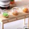 1pcs Miniature 1:12 Dollhouse Potted Glass Vase Lifelike Succulent Mode Decoration Desktop Ornaments Dolls House Accessories
