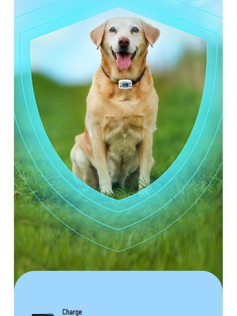 Cross-Border GPS Dog Fence & Training Device - Waterproof Anti-Barking Shock Collar