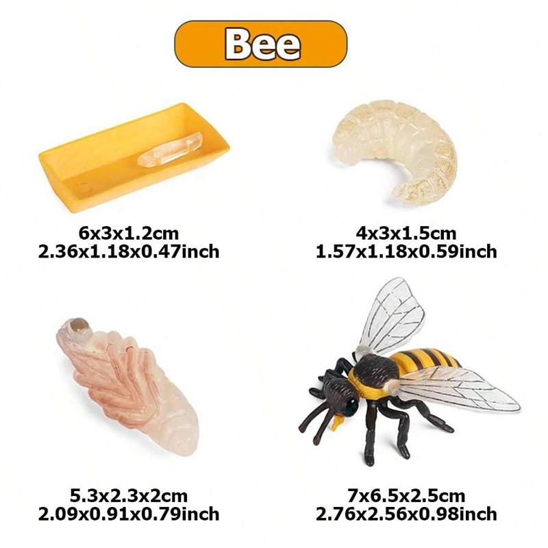 4pcs Mini Animal Plant Growth Cycle Tabletop Ornaments Plastic ABS Growth Process Model Family Decorations Animal Model Set TMZ