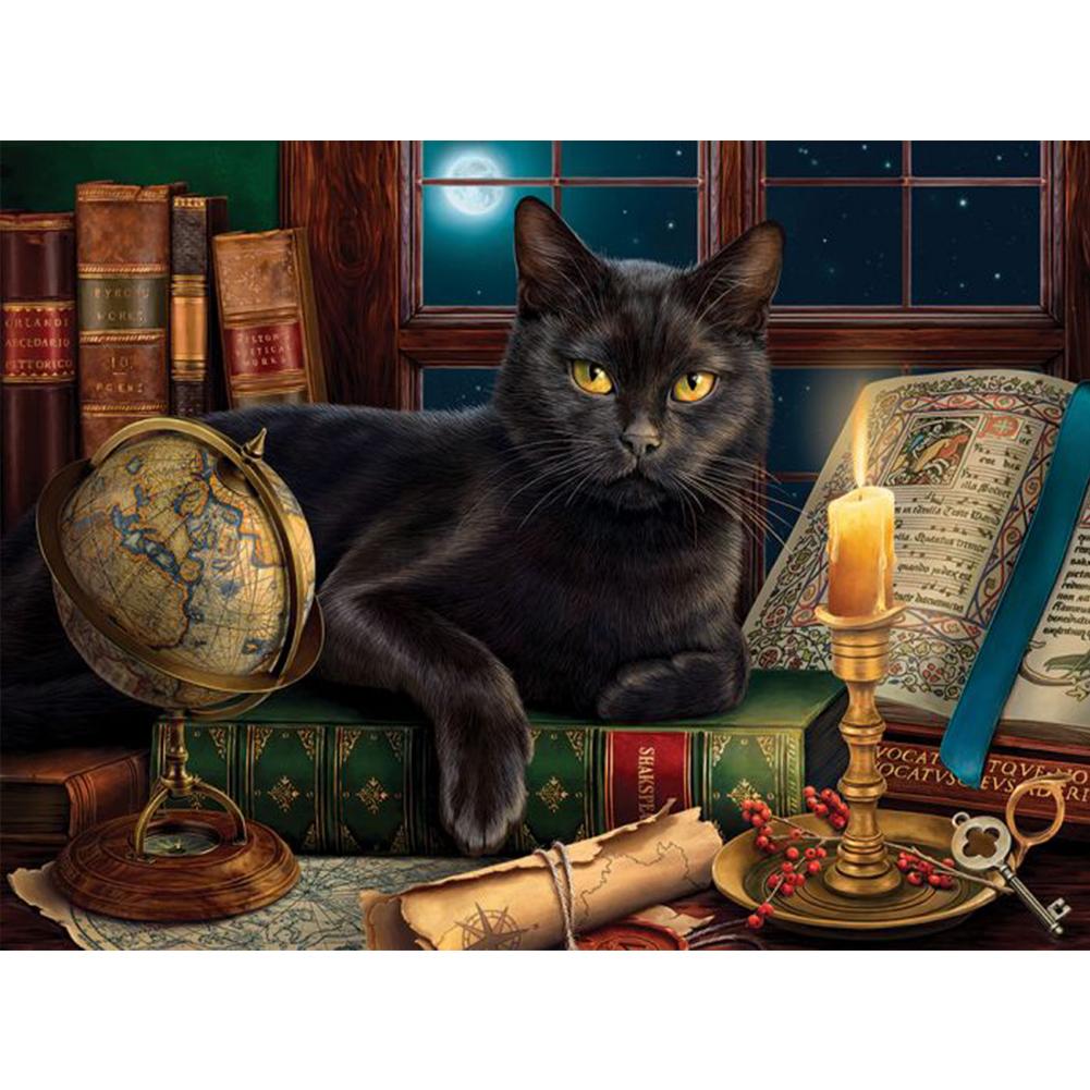 

Набор безрамных масляных красок «Черный кот» по номерам, картина на холсте (X480)