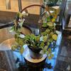 Round Wooden Plants Trellis Indoor Outdoor Potted Flowers Plants Climbing Small Houseplants Vine Ivy Support Concentric Circles Stake