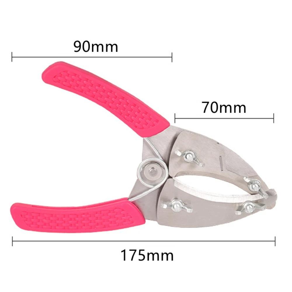 Plant Trim Horticulture Pruner Cut Secateur Shrub Garden Scissor Tool Branch Peeling Shear Orchard Pruning Shear Folding Saw Set