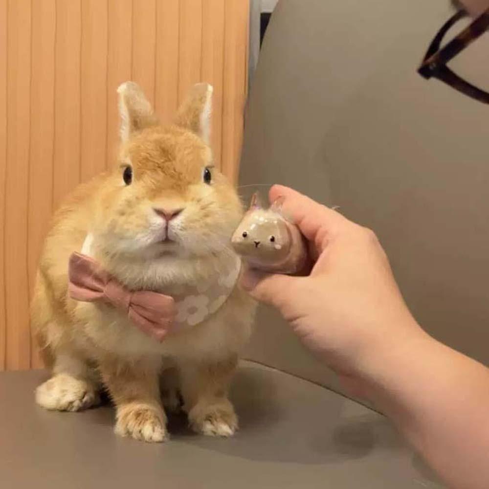 Handmade Cat Hair Storage Capsule Dog Hair Storage Container  Pet Souvenirs