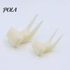 Bird Feeding Fork Food Feeder for Cage, Parrots Cage Holder Fruit Pet Accessory Fork, Vegetable Tool Forks Cockatoos Treats Snack
