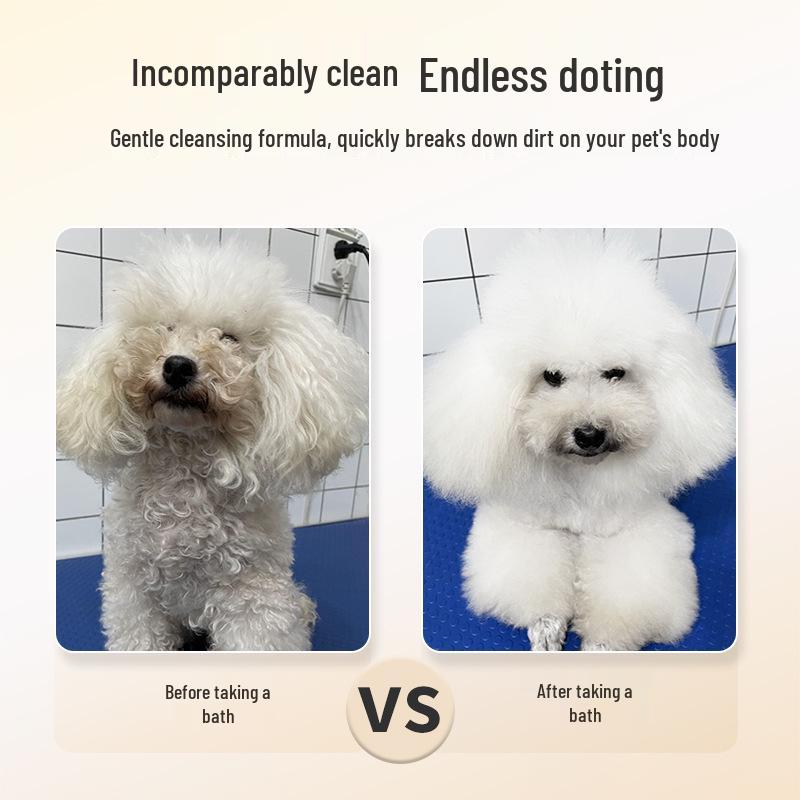 Ferret & Cat Deodorizing Shampoo: Long-Lasting Fragrance Bath for Pets, Including Teddy & Golden Retriever