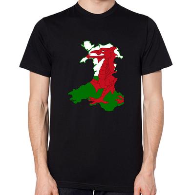 Wales Flag Map T-Shirt