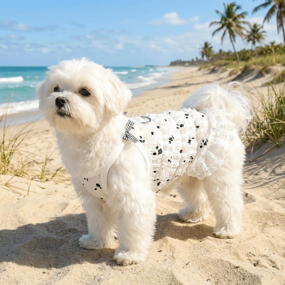 Lace Bowknot Pet Princess Dress Frilly Skirt Cat Suspenders Vest  Spring Season