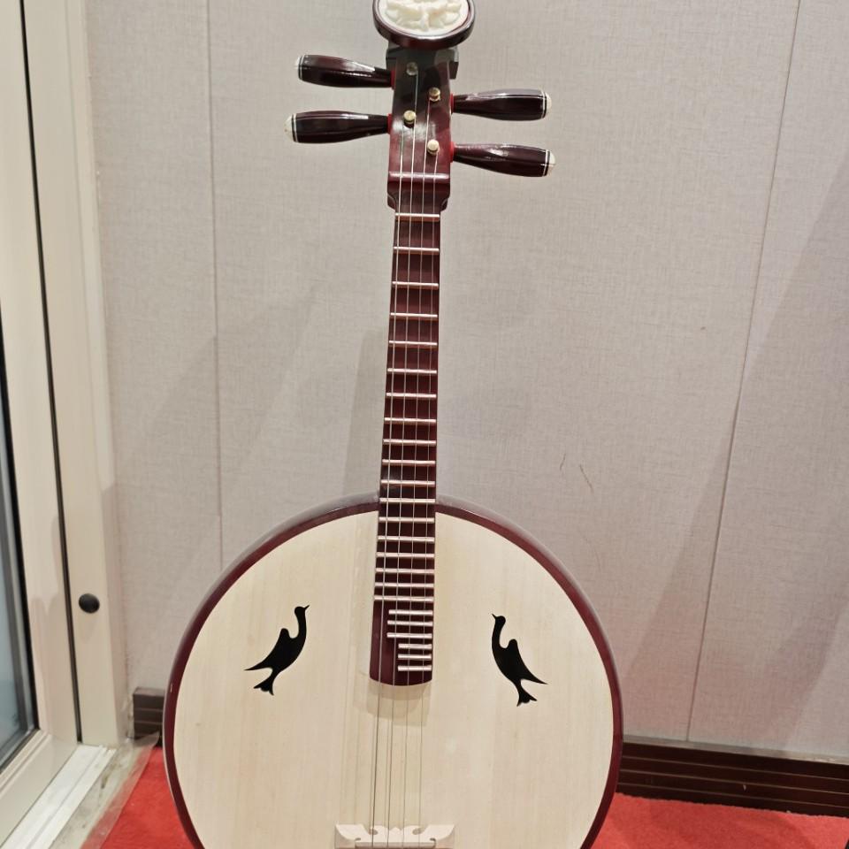 

Professional Grade Zhongruan Instrument for Beginners and Exam Performance