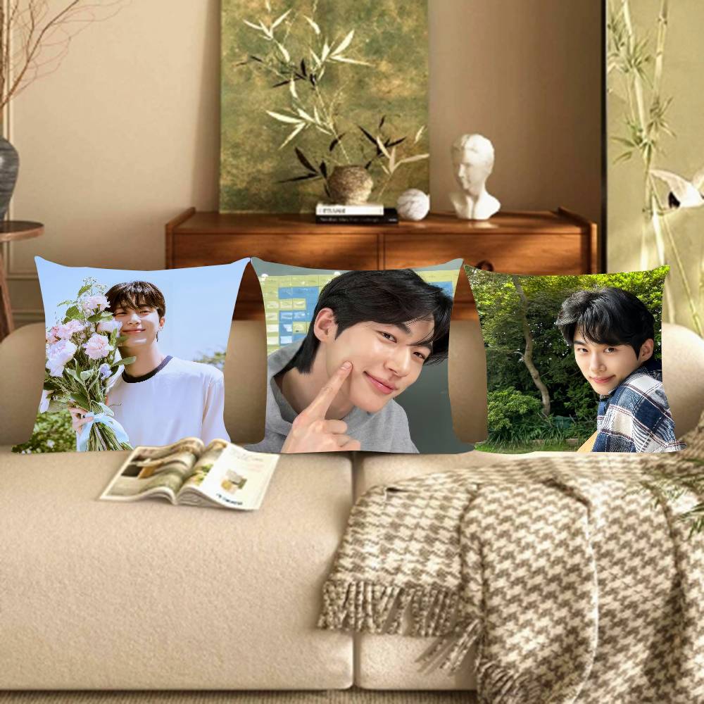 Korean Celebrity Byeon Wooseok   Pillowcase Toon Gift Cushion Cover Bedroom Home Sofa Chair Seat Decor Pillow Case