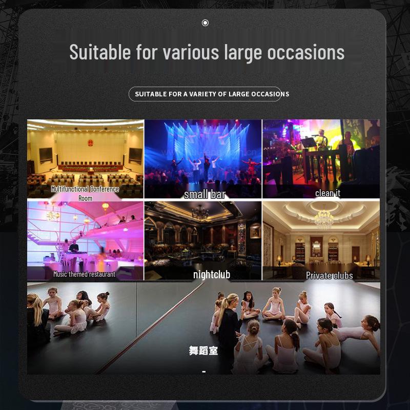 Xianke Pro Audio System for Conference Rooms, Classrooms, Dance Rooms, Home KTV, and Bars