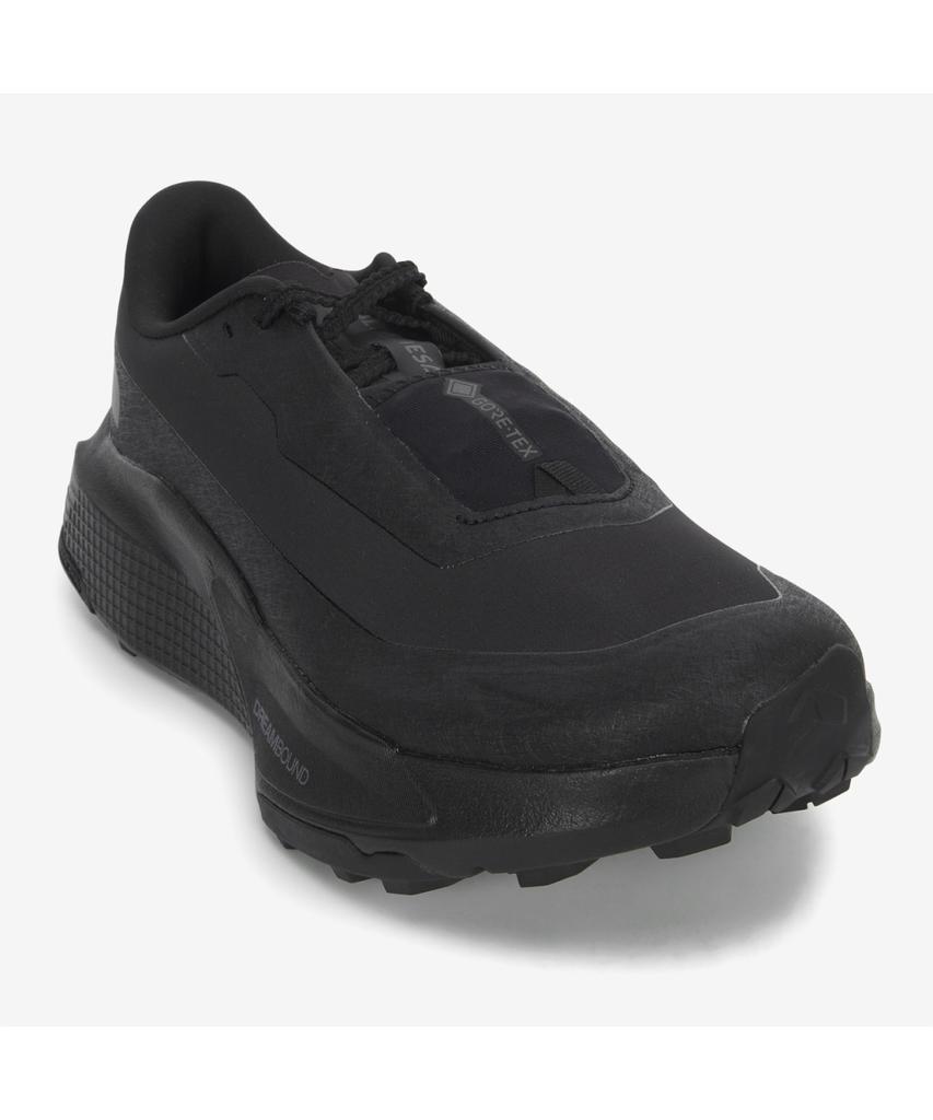 The North Face Ns94S22A Women'S Altamesa 500 Version 2 Gore-Tex Trail Running Shoes Black