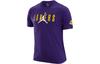 T Shirts Men's Purple Crew Neck Moderate Straight Fit DA6513-547