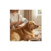 Dog Dryer Brush 2-in-1 Pet Hair Dryer with Brush Pet Grooming Blower Powerful 3-Speed for Dogs