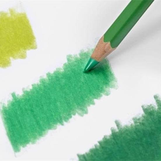 Caran Pablo colored pencils 120 color set d'Ache 0666-420 oil-based