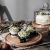 Glass Cake Stand with Dome Lid