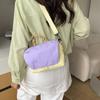 2026 Colorblock Crossbody-Tasche: Stilvolle, vielseitige, kleine quadratische Tasche für Damen aus strapazierfähigem Nylonstoff
