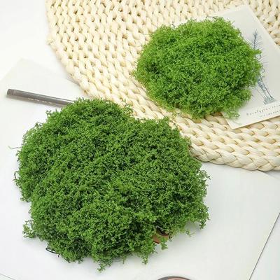 Simülasyon Yosun Kendin Yap Yapay Yosun Yeşil Bitki Dekorasyonu Peyzaj Bonsai Kaldırım İpeksi Sahte Yosun