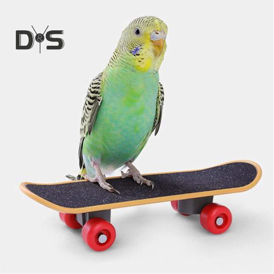 Sada hraček pro papoušky, ekologická, bez zápachu, barevná basketbalová hračka, mini nákupní vozík, papoušek, broušení, žvýkací hračky