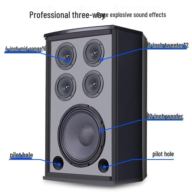 SAST VD-202 12-inch Conference Room Audio System