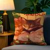 Cute Cat with a Red Hat Decoration  Pillow Case Natural Linen Pillow Case DoubleSided Decor Sofa Pillowcase Home Decor