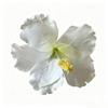 Floare Artificială Floare de Hibiscus Agrafă de Păr Nu Rănește Părul Stil Bohemia Accesorii de Păr Fotografie Plajă Călătorie Agrafă Laterală pentru Nuntă