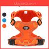 Pet Harness Vest With Nonextendable Leash For Small Dogs And Cats
