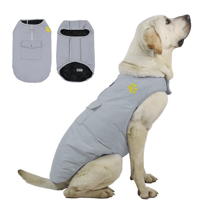 labrador retriever clothes