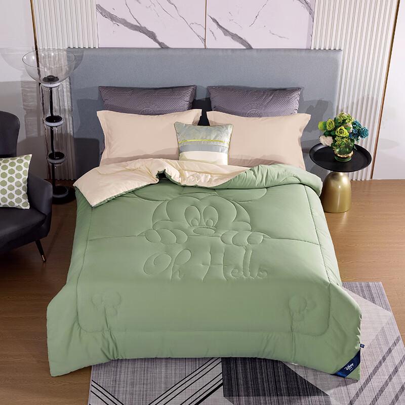 

Disney Temperature Control Single Quilt