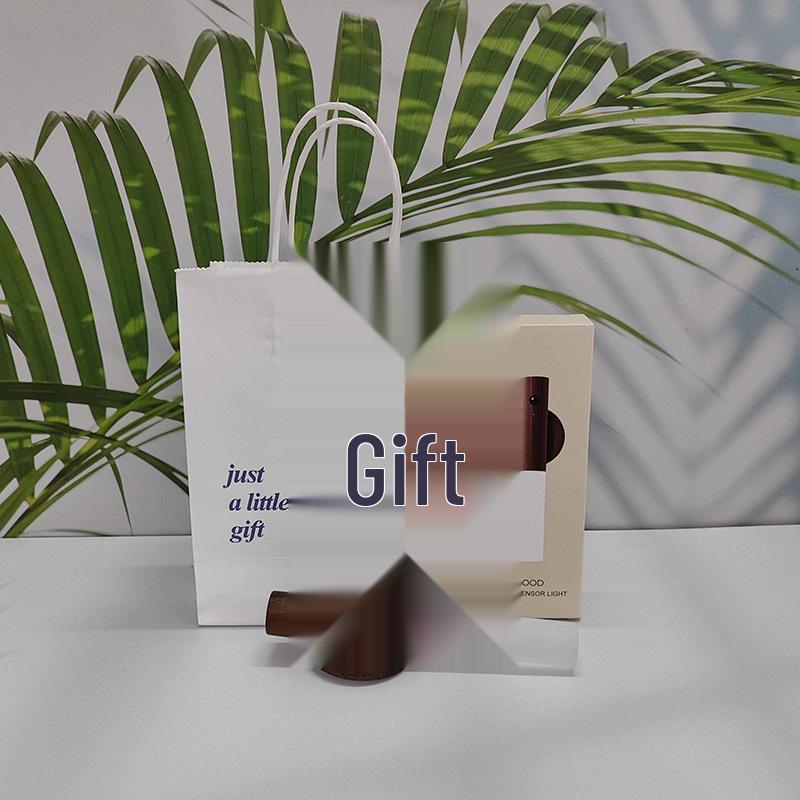 Rechargeable LED Motion Sensor Night Light for Bathroom or Corridor