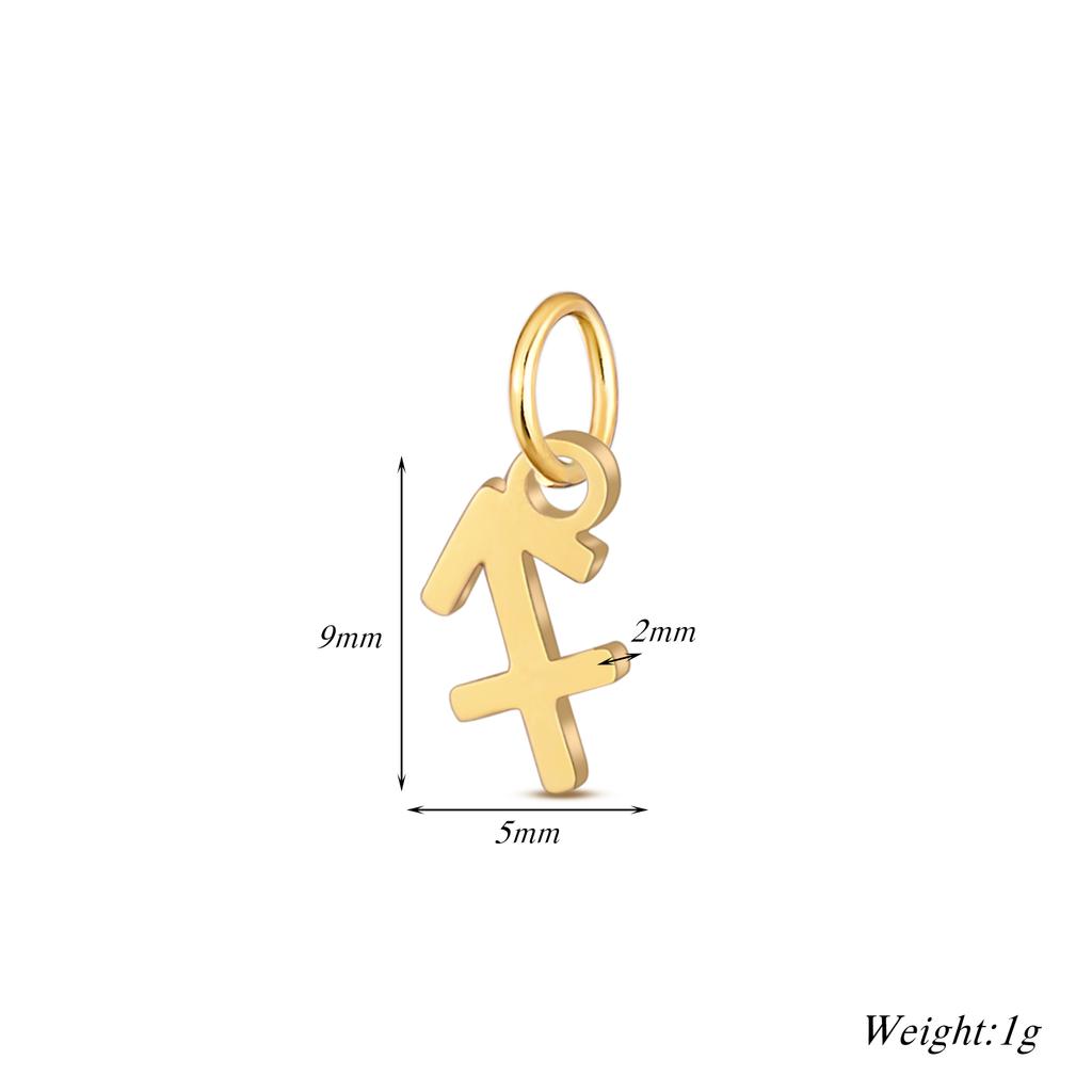 Wholesale 6pcs/lot 12 Constellation Zodiac Charm Pendant Stainless Steel High Quality DIY Jewelry Making Accessories