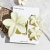 Frangipani Hairpin Beach Vacation Style Bauhinia Flower Updo Shark Hairpin Set