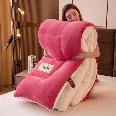 Double-Sided Lambswool Fleece Quilt: Thick, Warm Comforter for Winter, Spring, and Autumn
