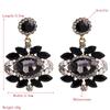 Women Retro Drop Earrings Titanium Steel Alloy Pendant Earrings Acrylic Colorful Grass Crystal Flower Geometric Ear Ornaments