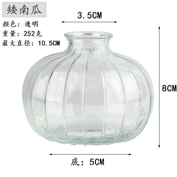 Decorative Flower Bottle Nordic Glass Vase Transparent Bud Vase Designed Hydroponic Plant Pot Living Room Decor Table Ornaments
