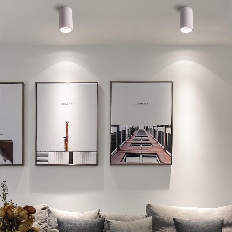 NuFeng 30W LED Surface Mounted Spotlight