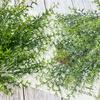 Simulated Plants Wedding Hotel Restaurant Desktop Decoration Props Photography