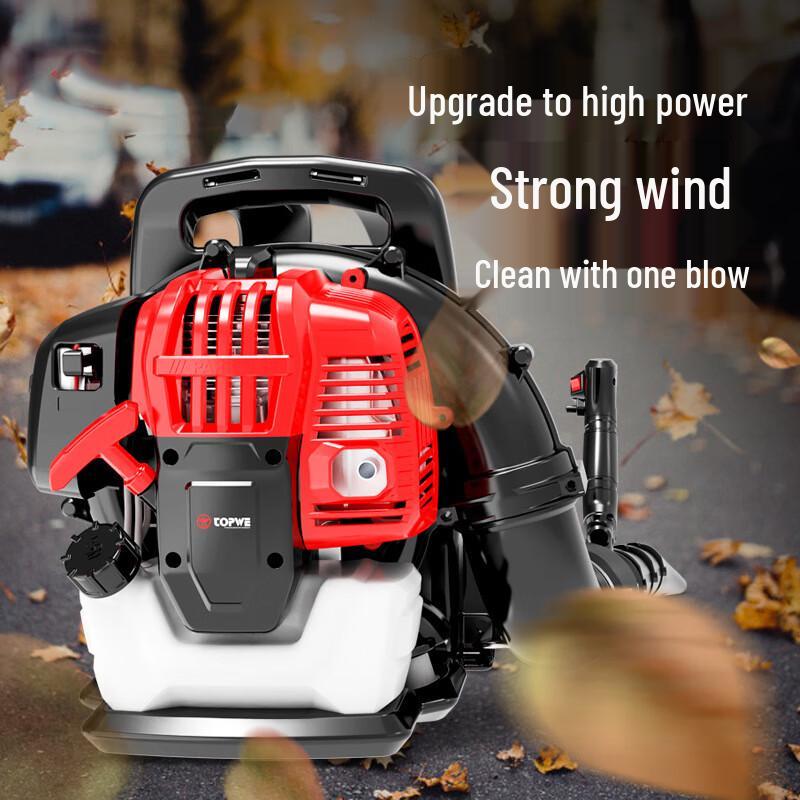 High-Power Multifunctional Backpack Blower CN plug (adapter included)
