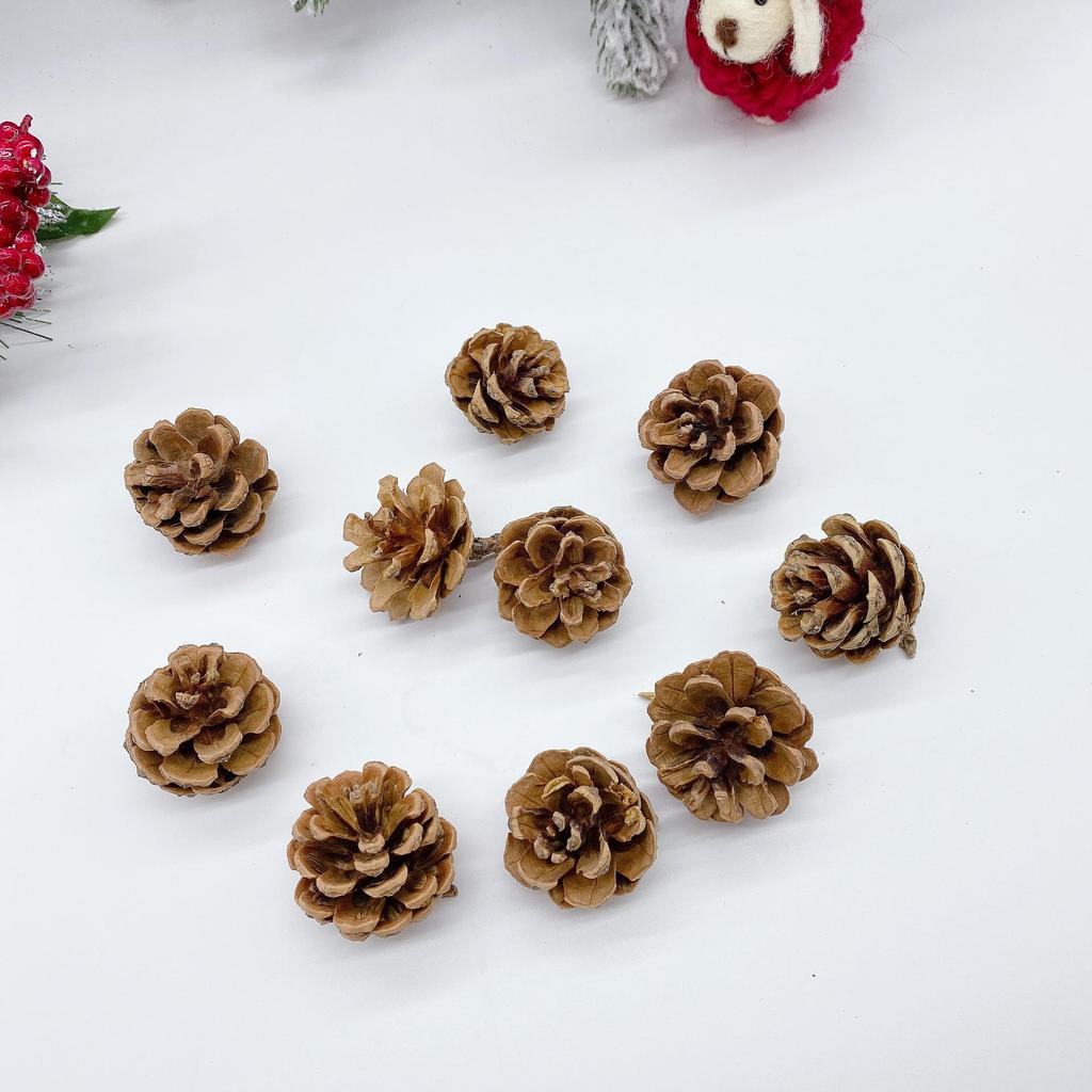 Natural Dried Pine Cones for Christmas Tree Decoration, Photography Props, Floral Wreaths, and Bouquets.