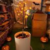 Auto On/Off Solar Garden Lights Waterproof Halloween Lights Solar Garden Stake Lights  Lawn