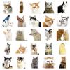 50 Pieces Cat PET Stickers Cute Realistic Cat Meme Emoji Decals Decorate Water Cups Stationery Suitcases Fridges Laptops Notebook Scrapbook