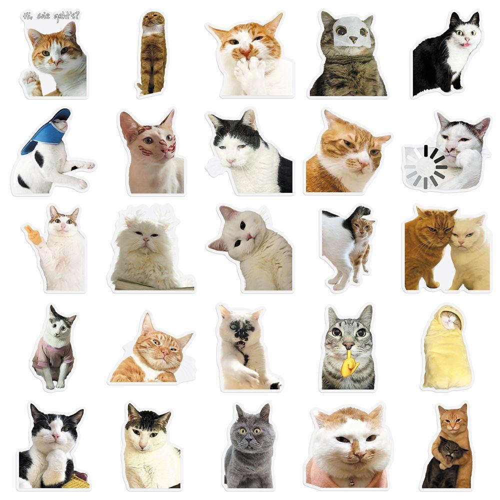 50 Pieces Cat PET Stickers Cute Realistic Cat Meme Emoji Decals Decorate Water Cups Stationery Suitcases Fridges Laptops Notebook Scrapbook