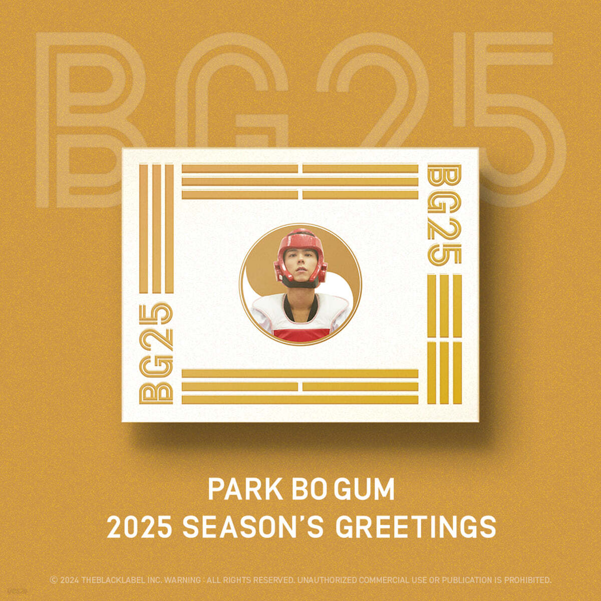 

PARK BO-GUM 2025 SEASON’S GREETINGS