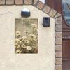 Vintage Daisy Tin Sign 8x12 Inch Floral Wall Art Farmhouse Decor for Living Room Kitchen 20x30 Cm
