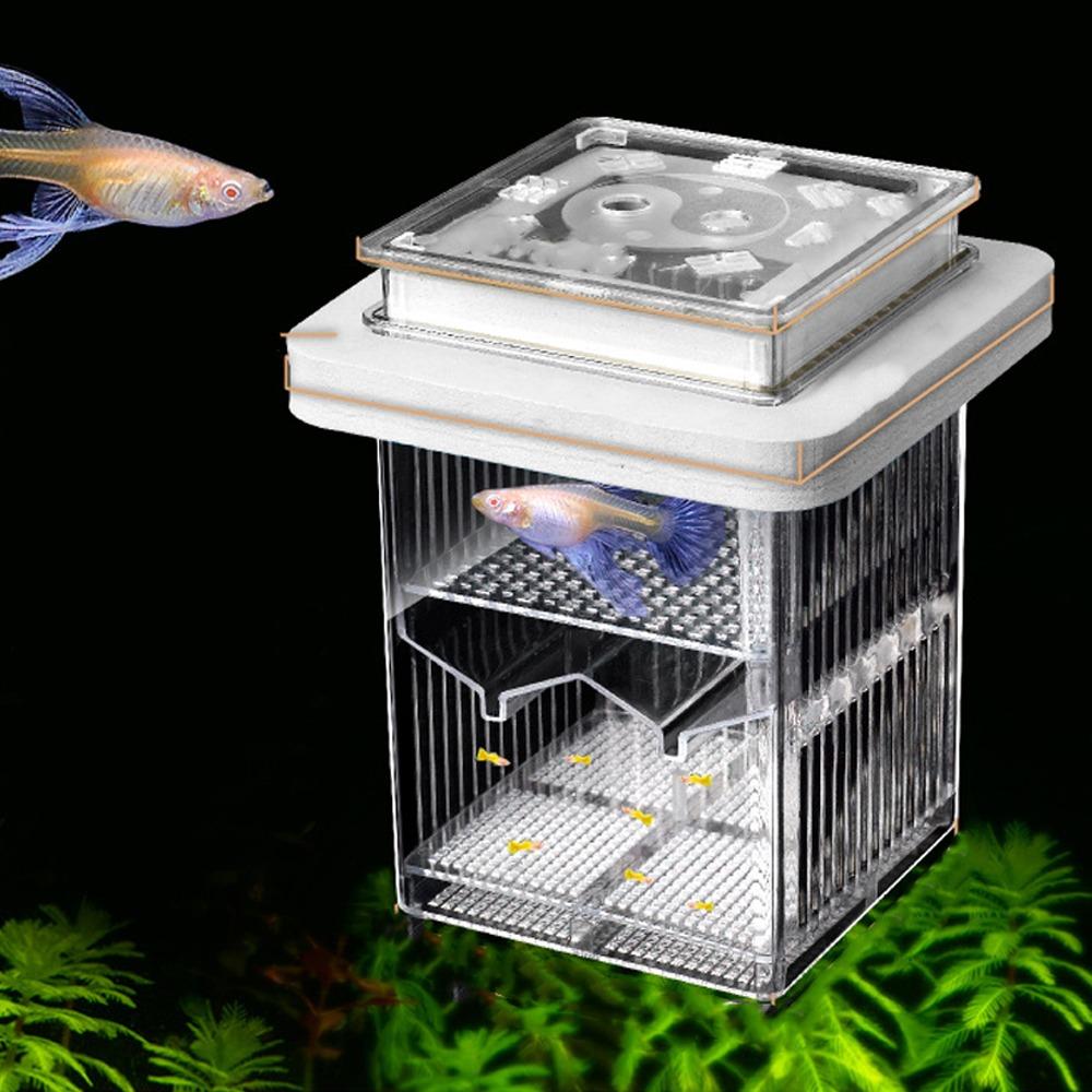 Detachable Guppy Breeder Box Transparent Fish Tank Divider Floating Hatching Box  Fish Breeding