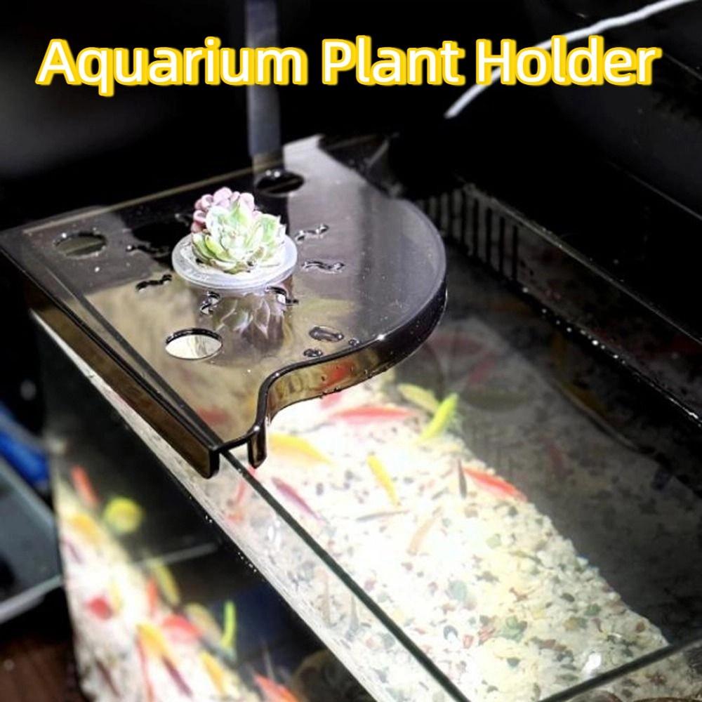 Punch-free Corner Fish Tank Shelf Triangle Coral Bracket Fish Tank Corner Storage Rack Desk